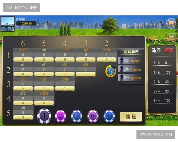三公棋牌单机游戏攻略大全，帮助新手快速掌握游戏技巧与玩法