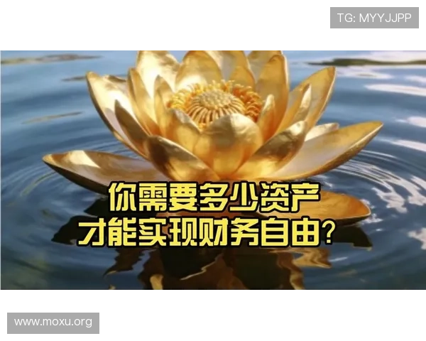 免费下载发财圈app，开启你的财富增值新体验，轻松实现财务自由