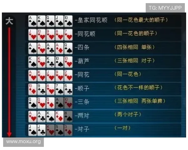 全面解析德州扑克基本规则让你轻松理解游戏流程与玩法技巧