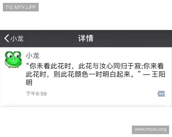 十三水玩法中的策略布局技巧，助你在比赛中占据优势